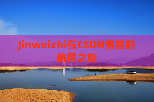 Jinweizhi在CSDN博客的编程之旅